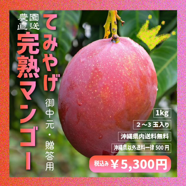 【谷平さま専用】摘果マンゴー 20kg 仲間農園 | NakamaNouen Ginoza
